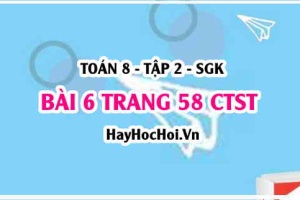 Bài 6 trang 58 Toán 8 Tập 2 Chân trời sáng tạo